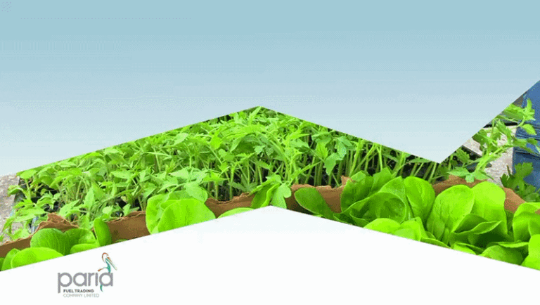 Growing Food, Growing Communities Together